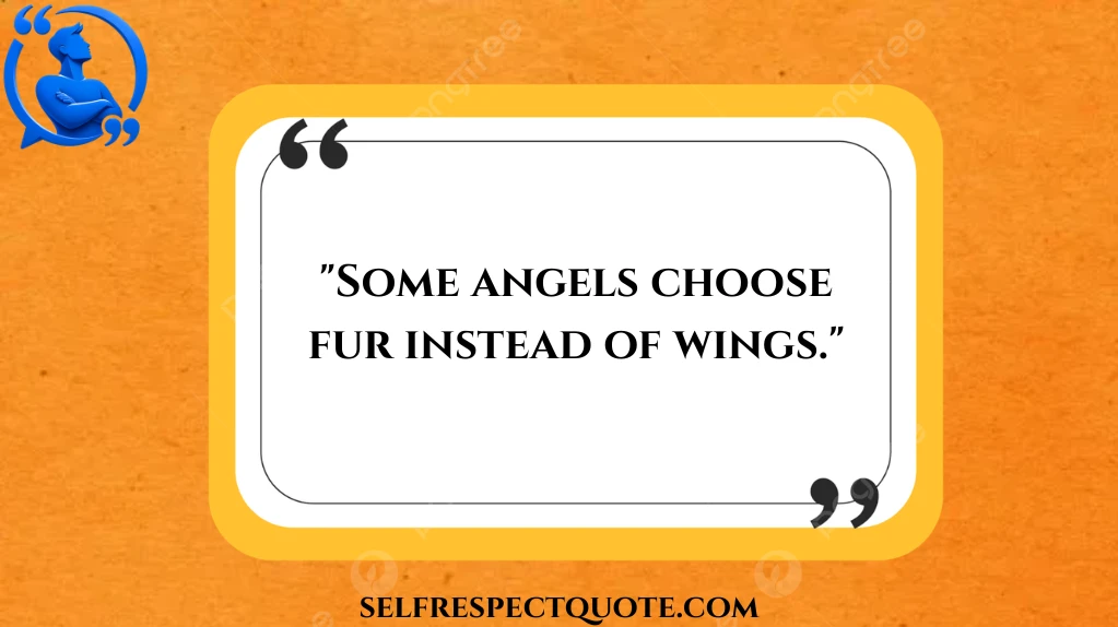 quotes-about-losing-a-dog-for-instagram-social-media